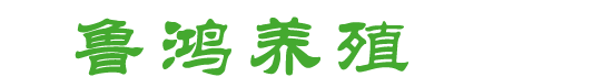 科盛儀器